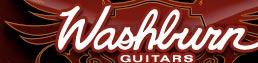 Washburn Basses Bass Guitar